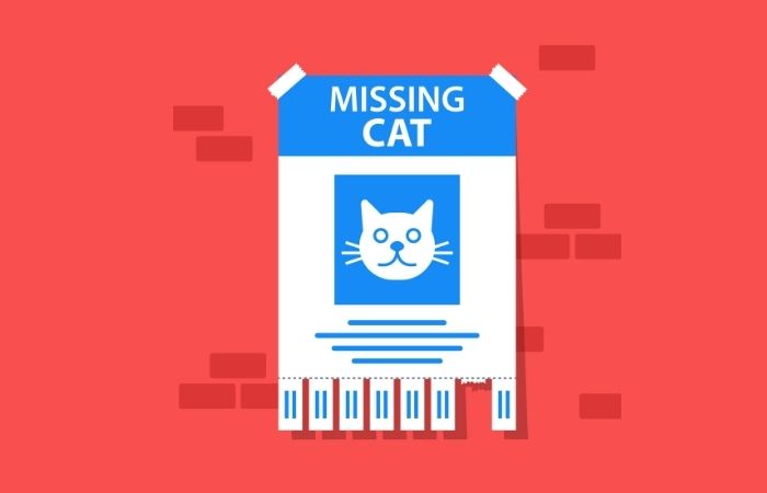 Pet Flyers: Ultimate Guide to Writing Them